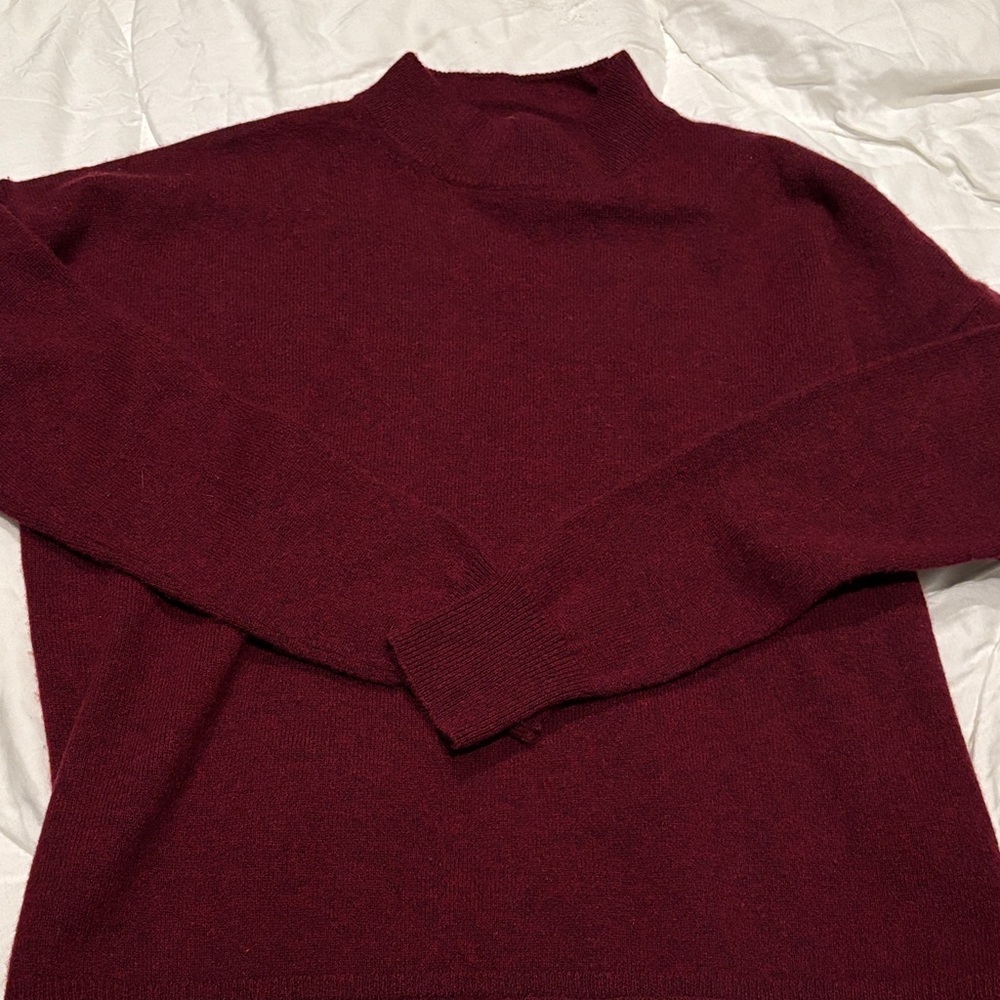 Madewell  women Deep Red Turtleneck Sweater
